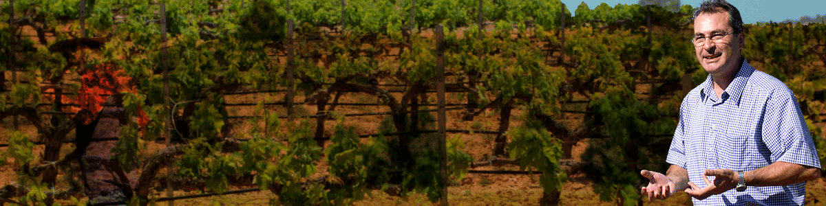 Finca San Blas shows the potential of Garnacha from one of Spain’s driest & coldest DOs