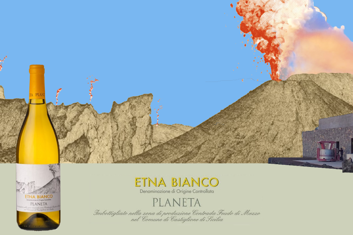 Planeta Etna Bianco: saline freshness from the slopes of Mount Etna