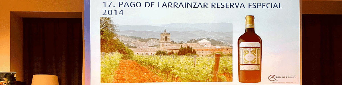 Pago de Larrainzar gives magic to the ancestral land in Navarra