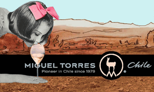 Miguel-torres-chile-history-pais-grape-project