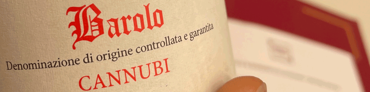winejus-barolo-cannubi