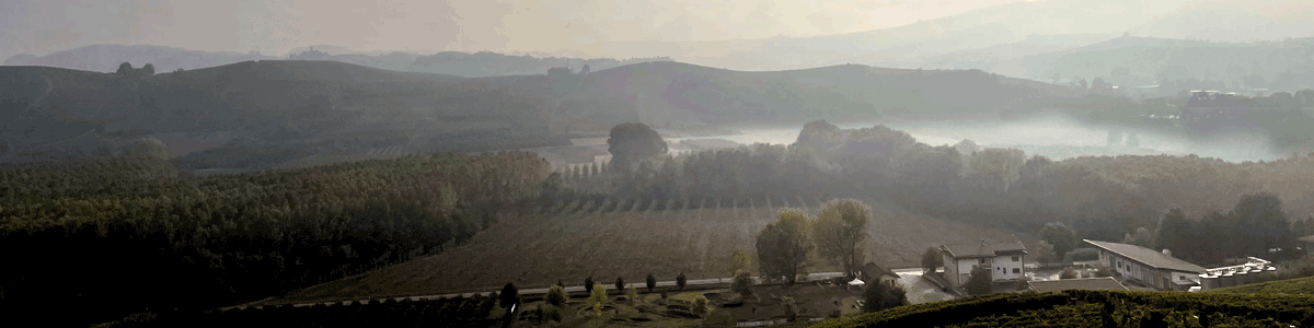 winejus-barolo-langhe-wine hills