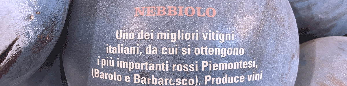 winejus-nebbiolo-grape